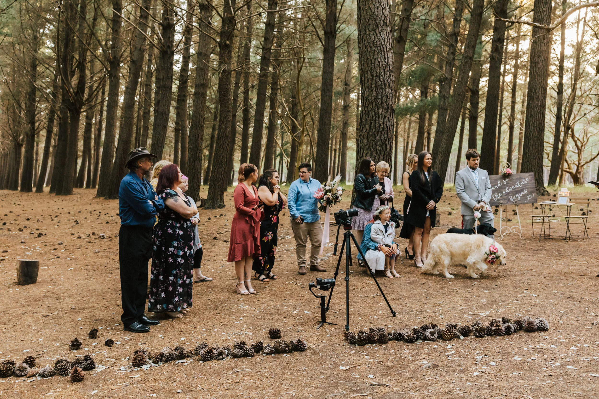 Kaisey Jess Gorgeous Gay Elopement In Kuitpo Forest Our Wild Love Elopements